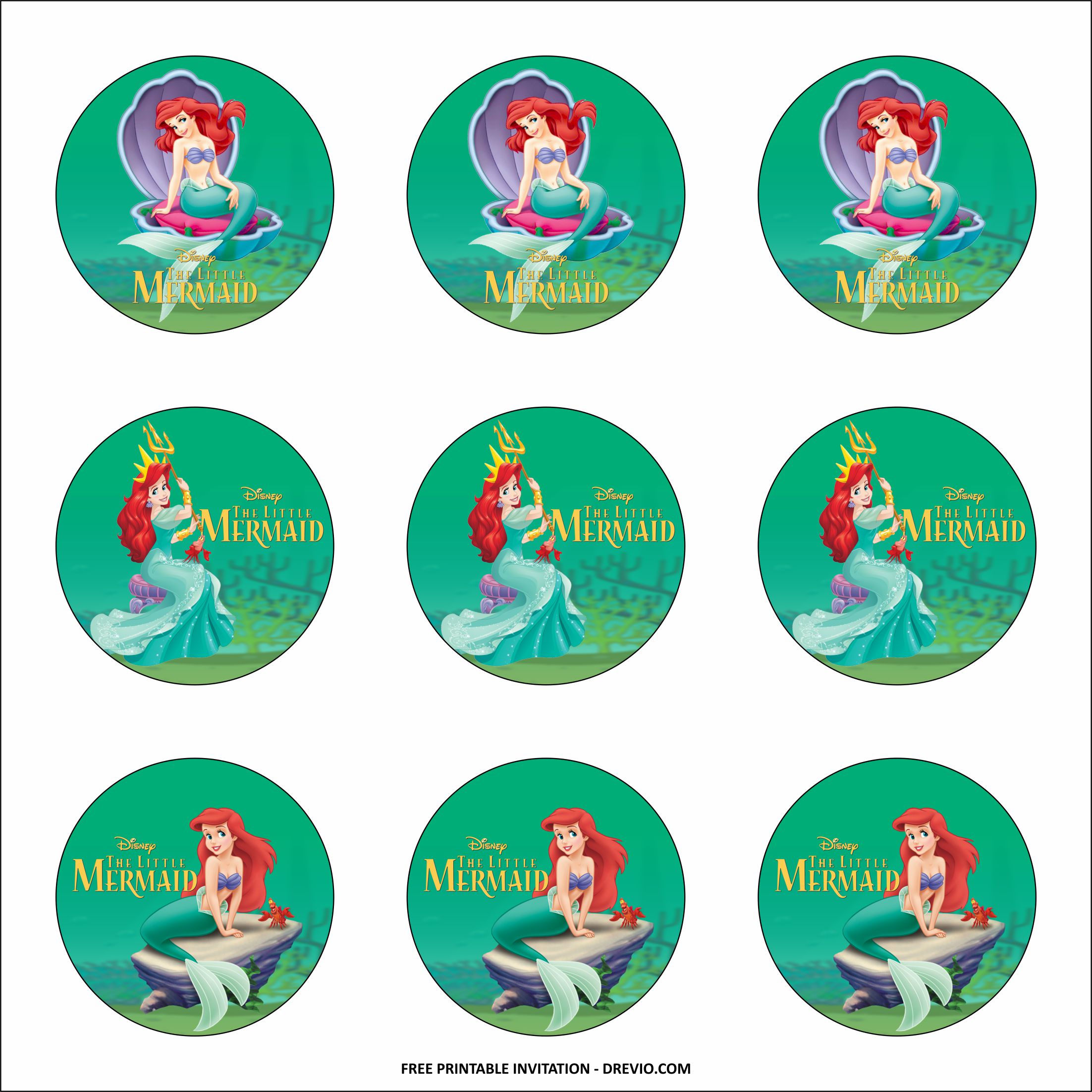 Disney the Little Mermaid Ariel Flounder Green Ball Gown Edible Cake T – A  Birthday Place