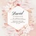 7+ Soft Pink Floral Birthday Invitation Templates