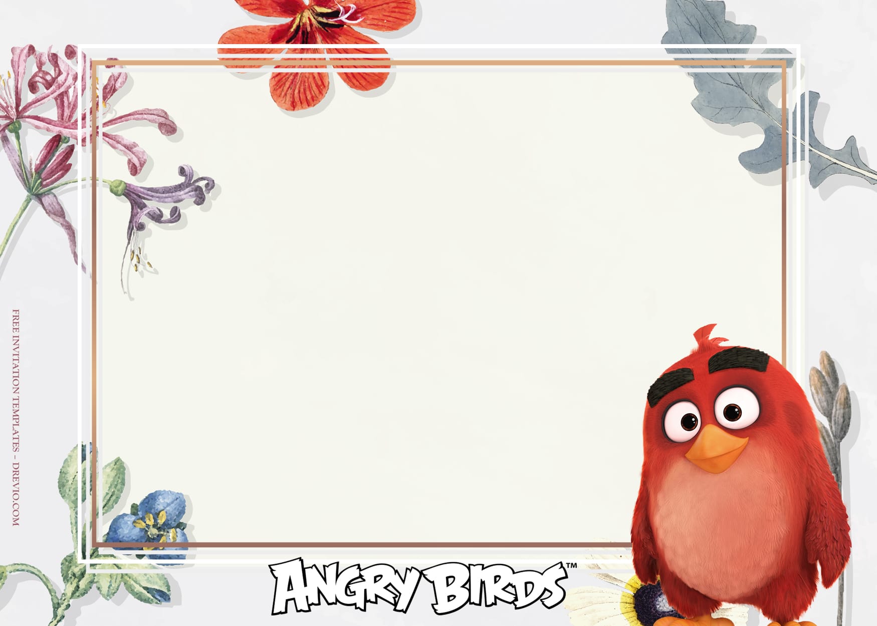 10+ Fiesta De Rosa With Angry Birds Birthday Invitation Templates Type Five