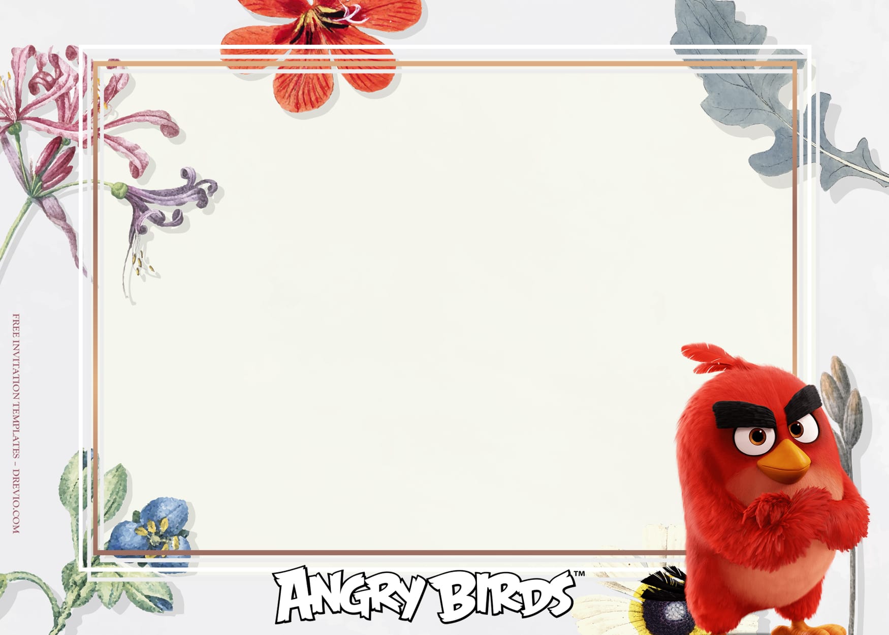 10+ Fiesta De Rosa With Angry Birds Birthday Invitation Templates Type Nine