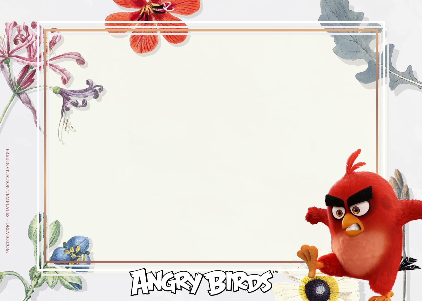 10+ Fiesta De Rosa With Angry Birds Birthday Invitation Templates Type Seven