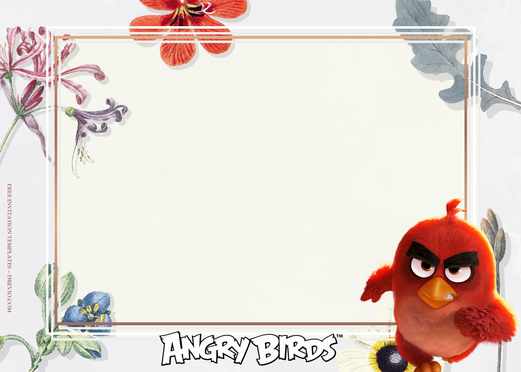 10+ Fiesta De Rosa With Angry Birds Birthday Invitation Templates Type Six