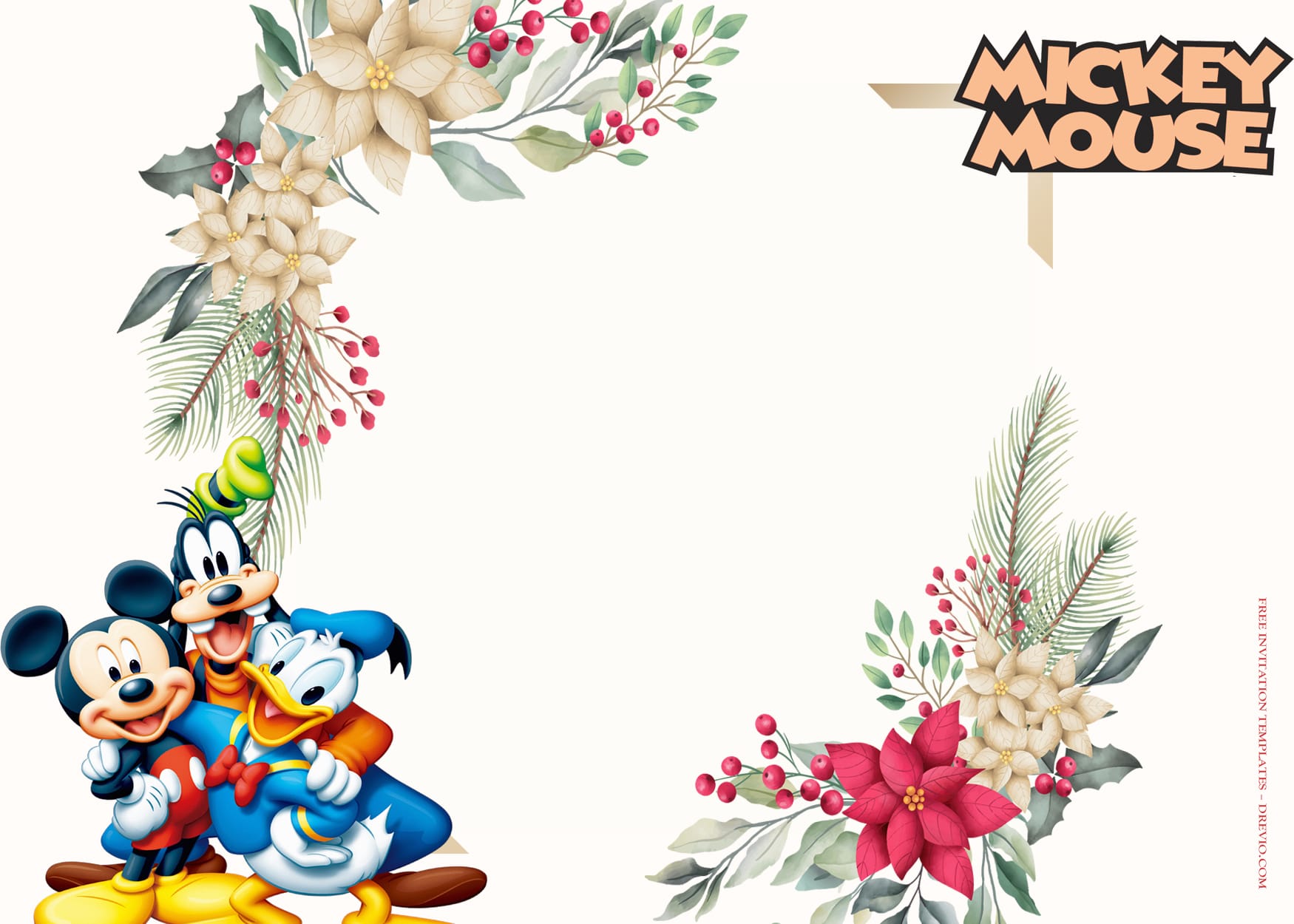 10+ Mickey Mouse Party Fantasia Birthday Invitation Templates Type Eight