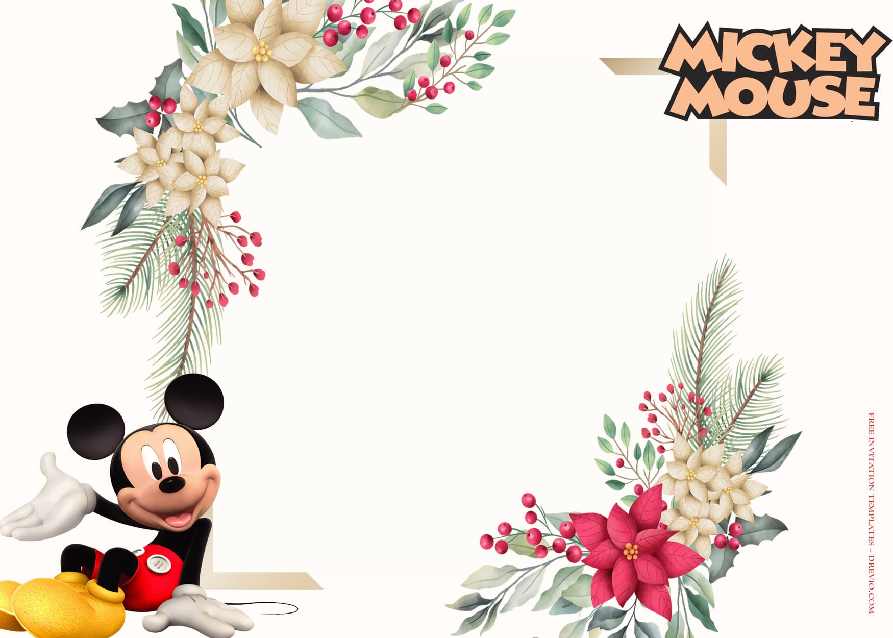 10+ Mickey Mouse Party Fantasia Birthday Invitation Templates Type Four