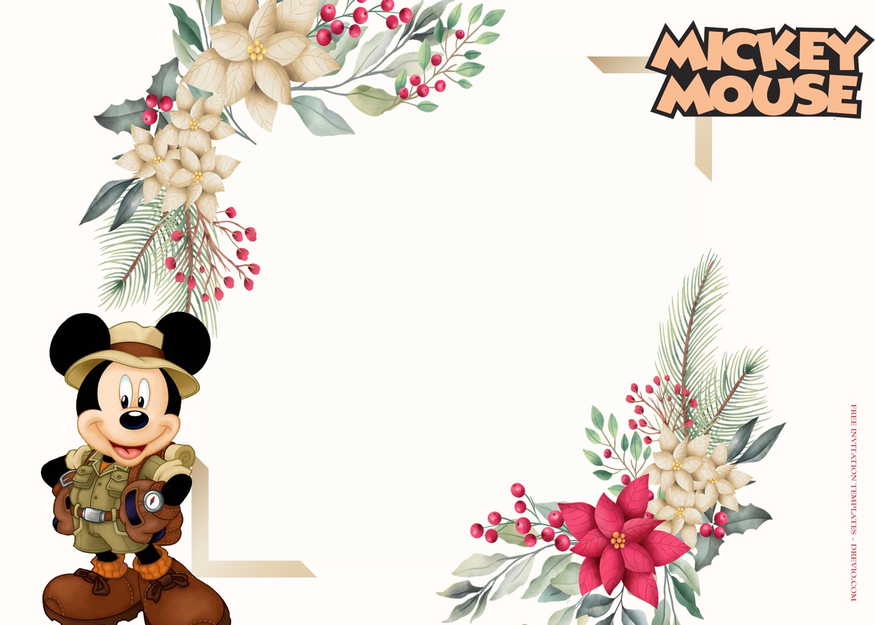 10+ Mickey Mouse Party Fantasia Birthday Invitation Templates Type Five