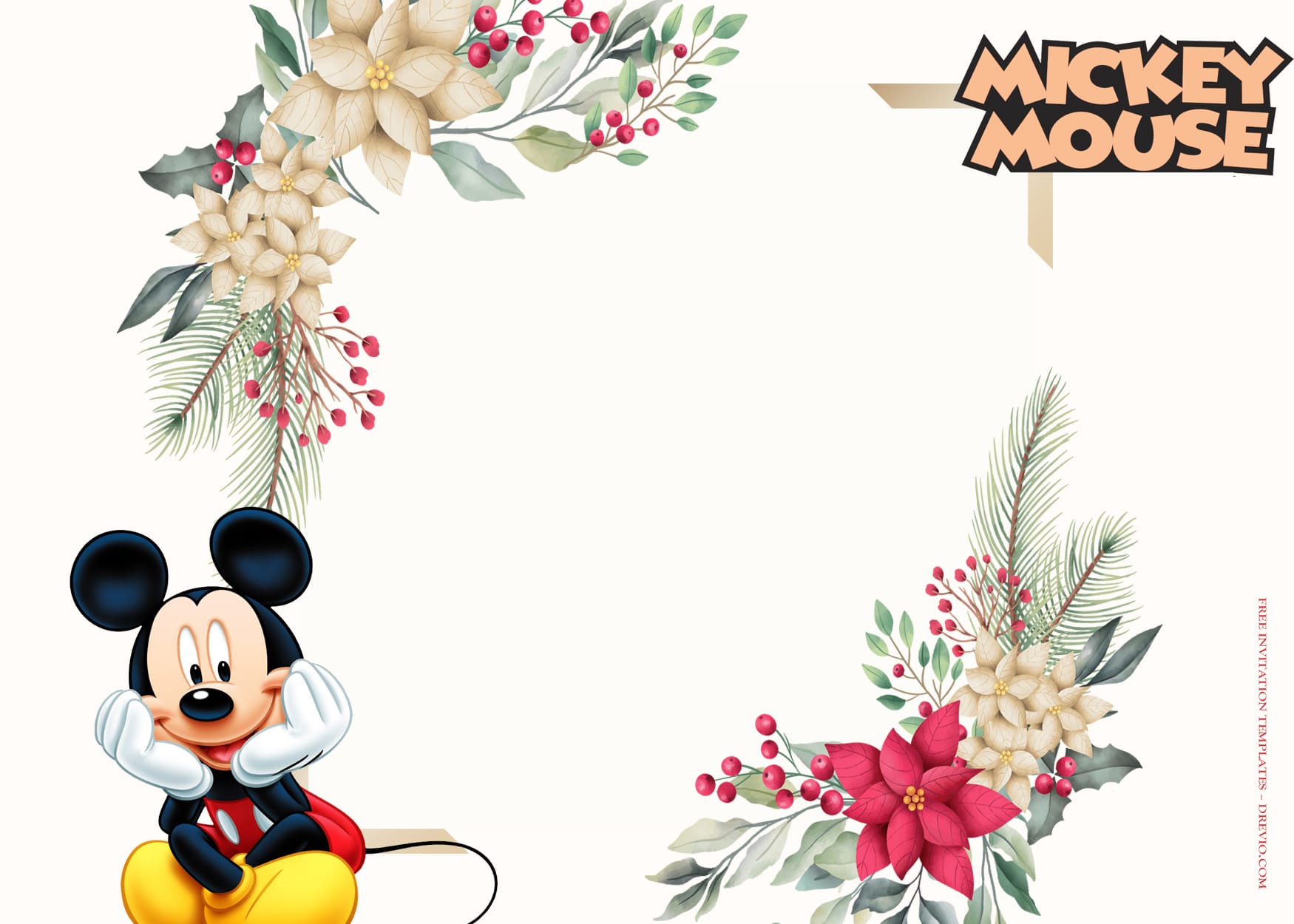 10+ Mickey Mouse Party Fantasia Birthday Invitation Templates Type seven