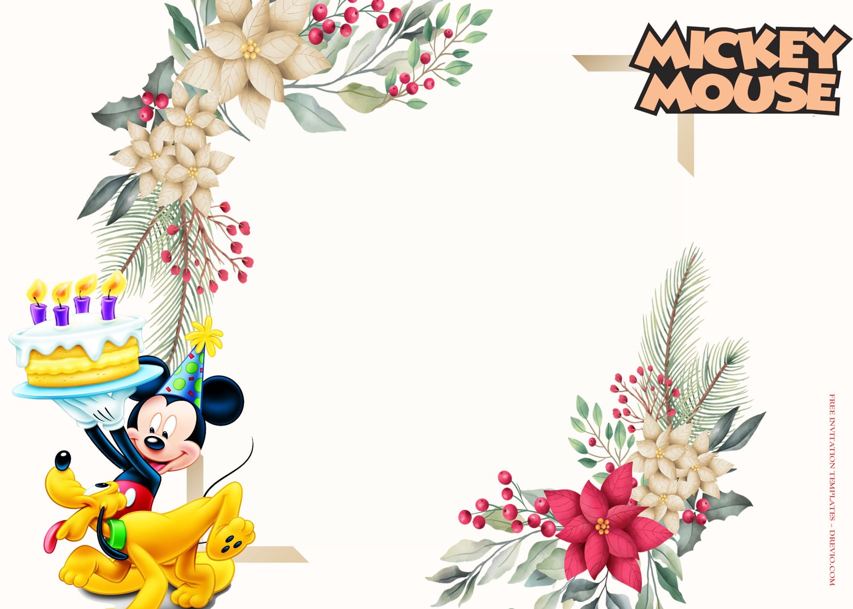 10+ Mickey Mouse Party Fantasia Birthday Invitation Templates Type Three
