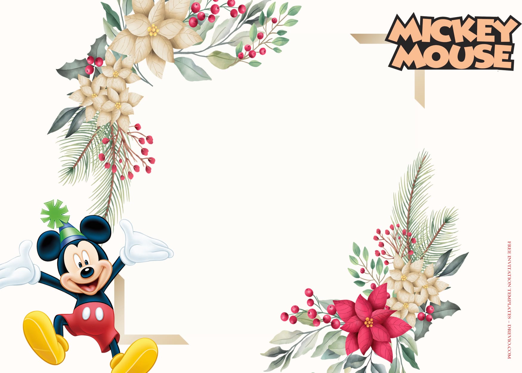 10+ Mickey Mouse Party Fantasia Birthday Invitation Templates Type Two