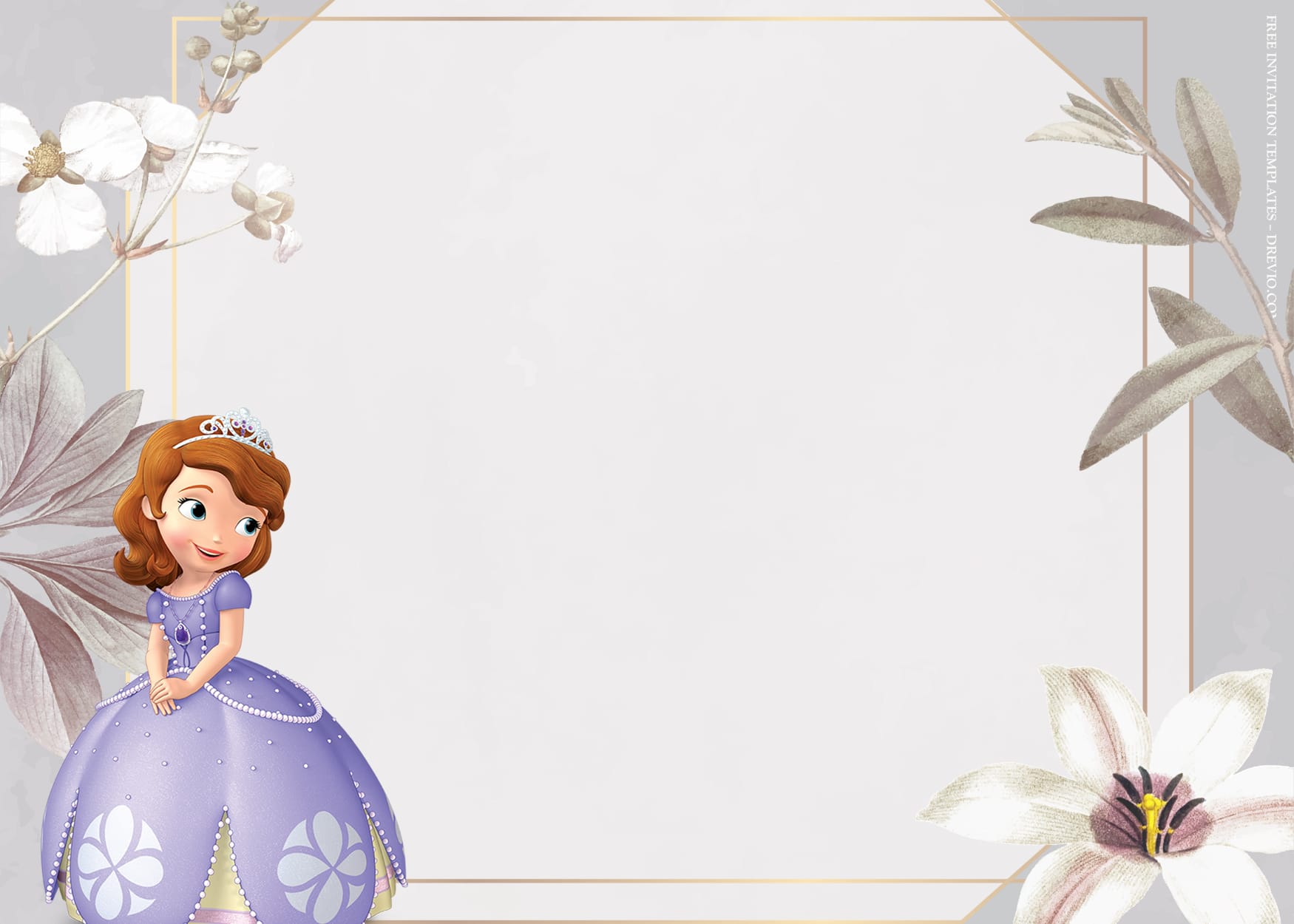 9+ Playing Castle With Sofia The First Birthday Invitation Templates Type Seven