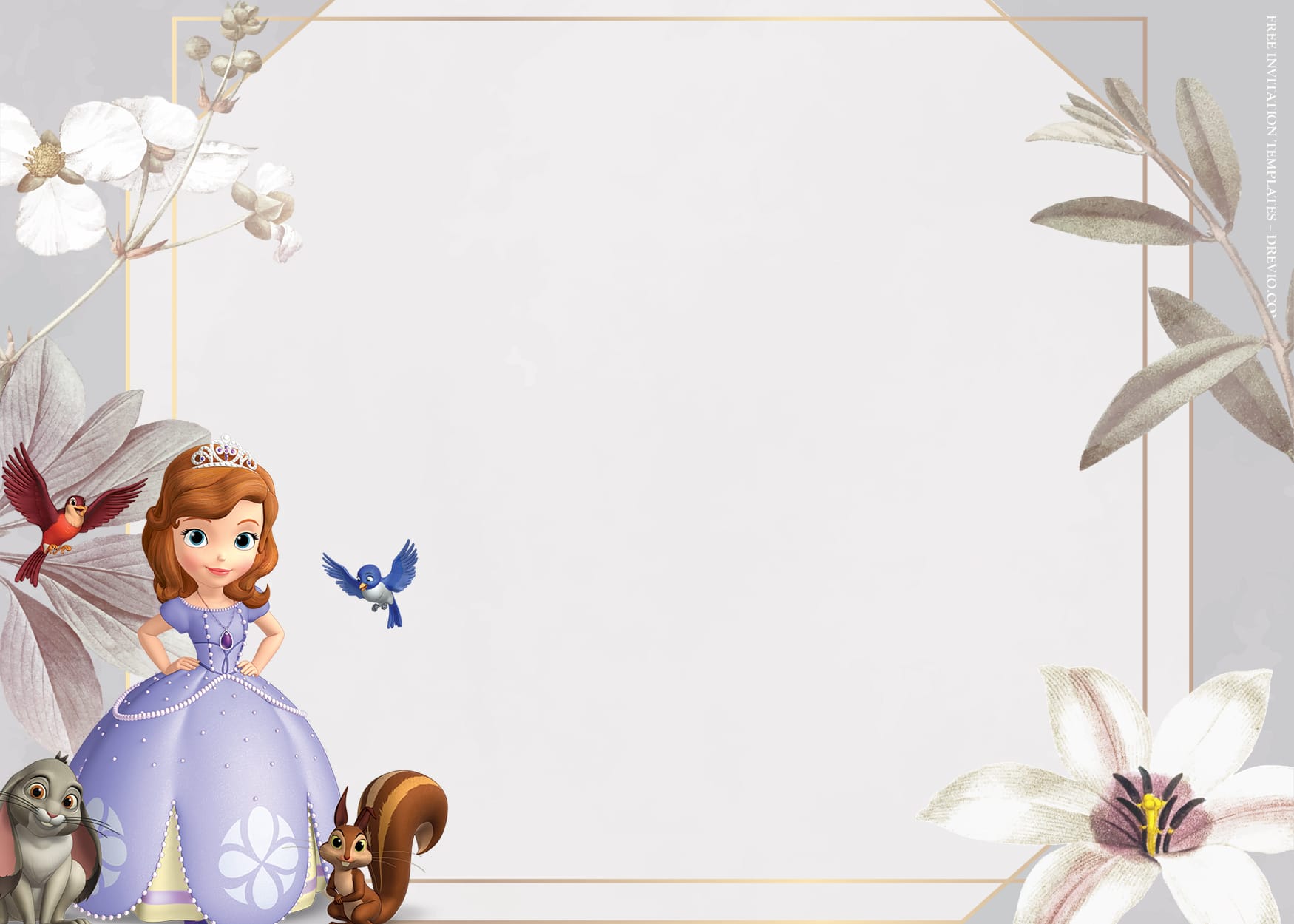 9+ Playing Castle With Sofia The First Birthday Invitation Templates Type Six