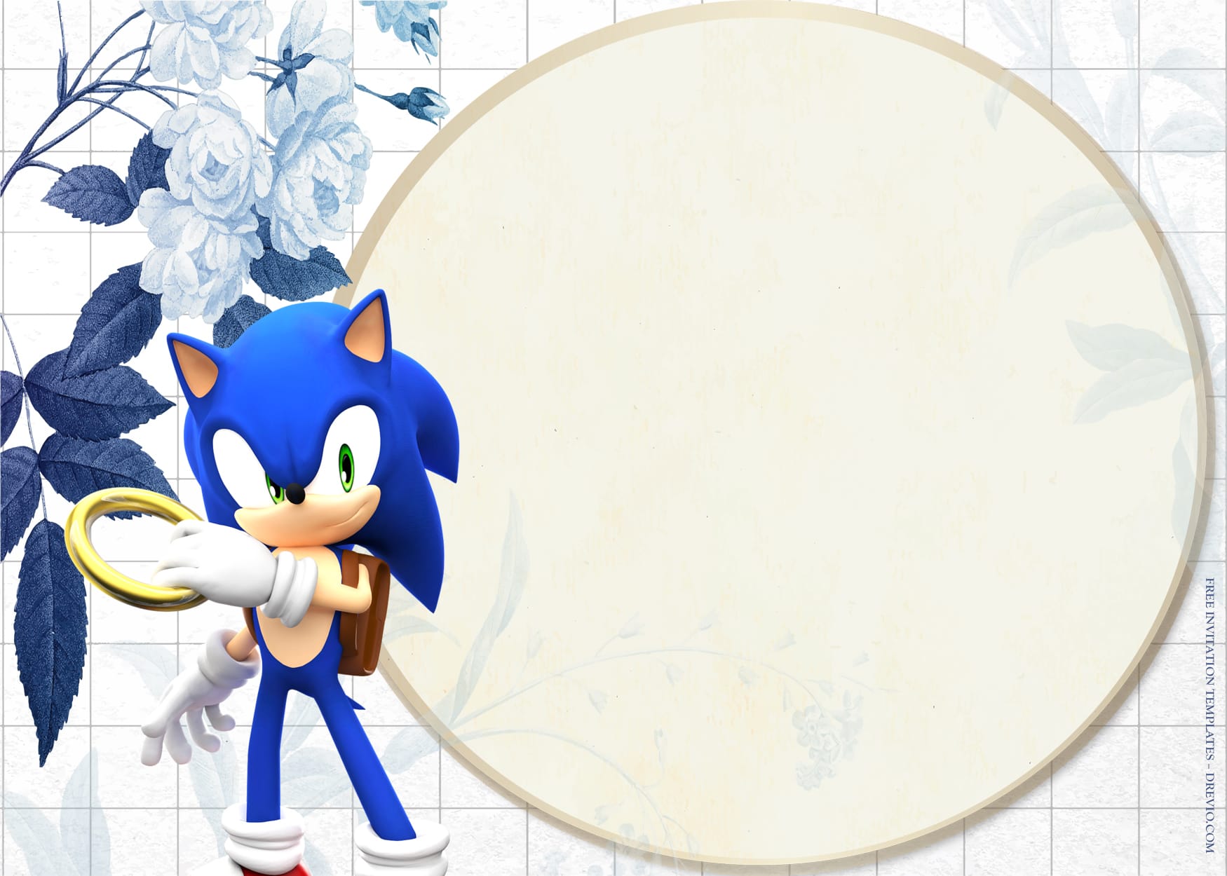 9+ Static Blue Run With Sonic Birthday Invitation Templates Type Two