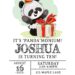 9+ Sweet Birthday Panda Party Invitation Templates