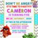 7+ Lovable Angry Birds And The Bad Piggies Birthday Invitation Templates