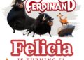 9+ The Bubbly El Toro Ferdinand Movie Birthday Invitation Templates