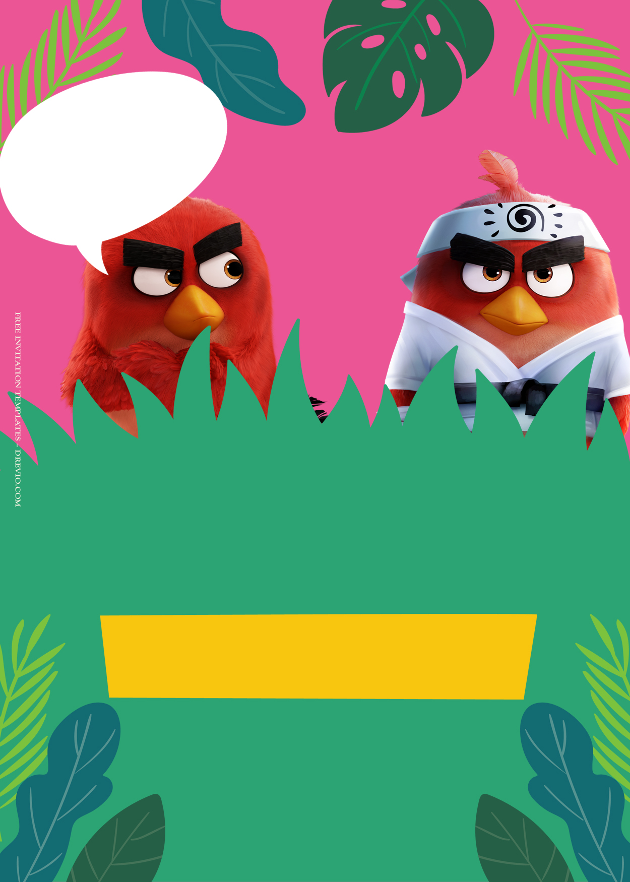 11+ Battle On The Spot With Angry Bird Birthday Invitation Templates Five