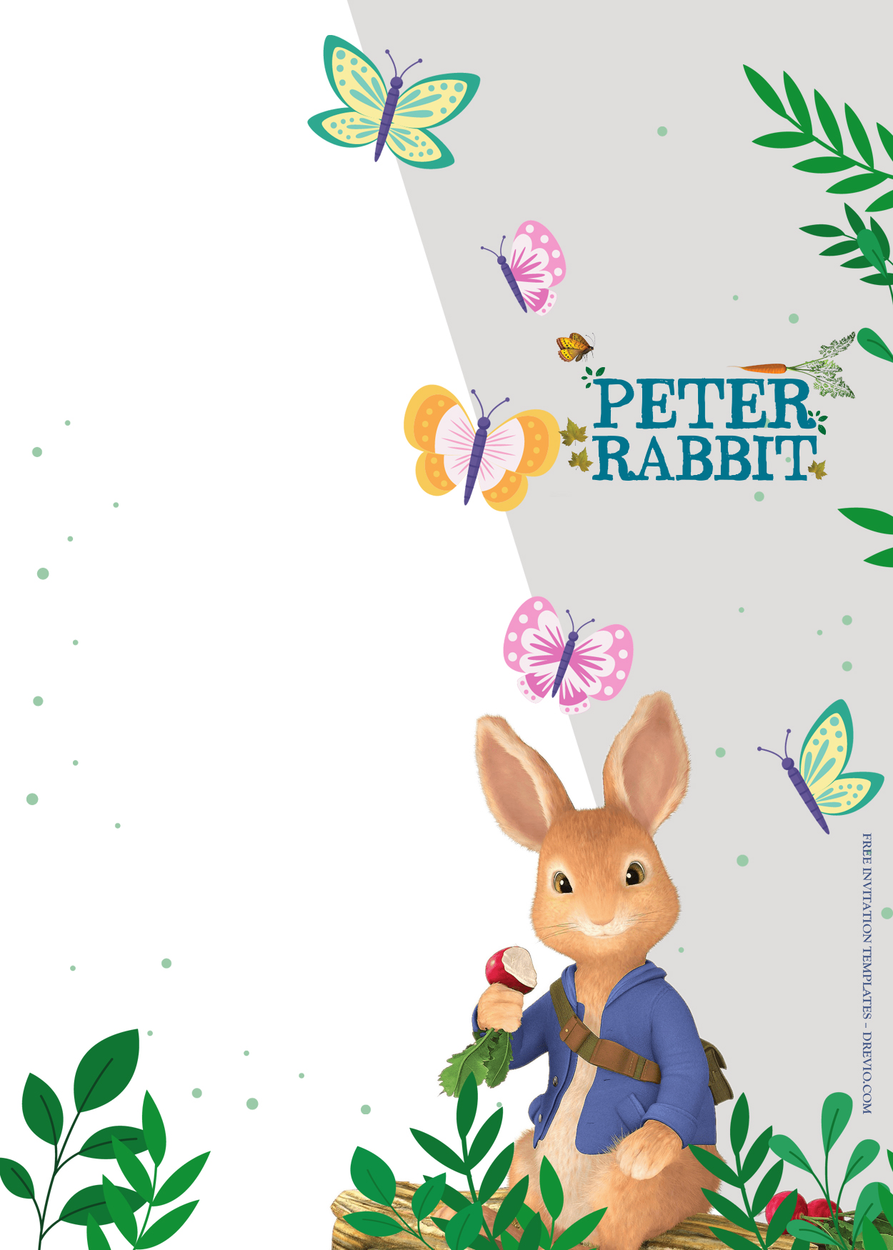 9+ Peter Rabbit All Around Birthday Invitation Templates One