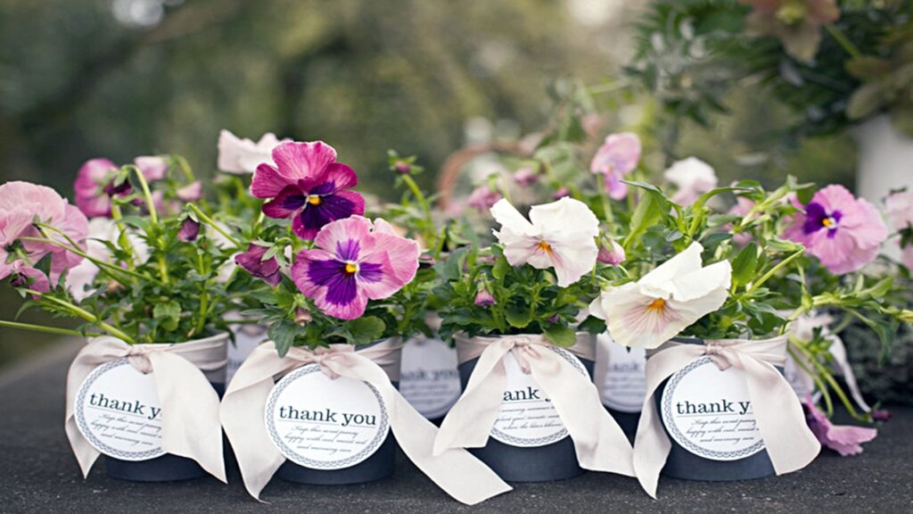 Ilustrasi Tiny Flower as Party Favors (Credit: Long Island Weekly)