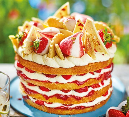 Cake Ideas (Credit : bbcgoodfood)