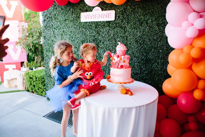 Elmo Birthday Party Ideas For Girls (Credit: karaspartyideas)