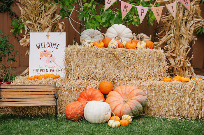 Fall Party Decoration (Credit: partyhosthelper)