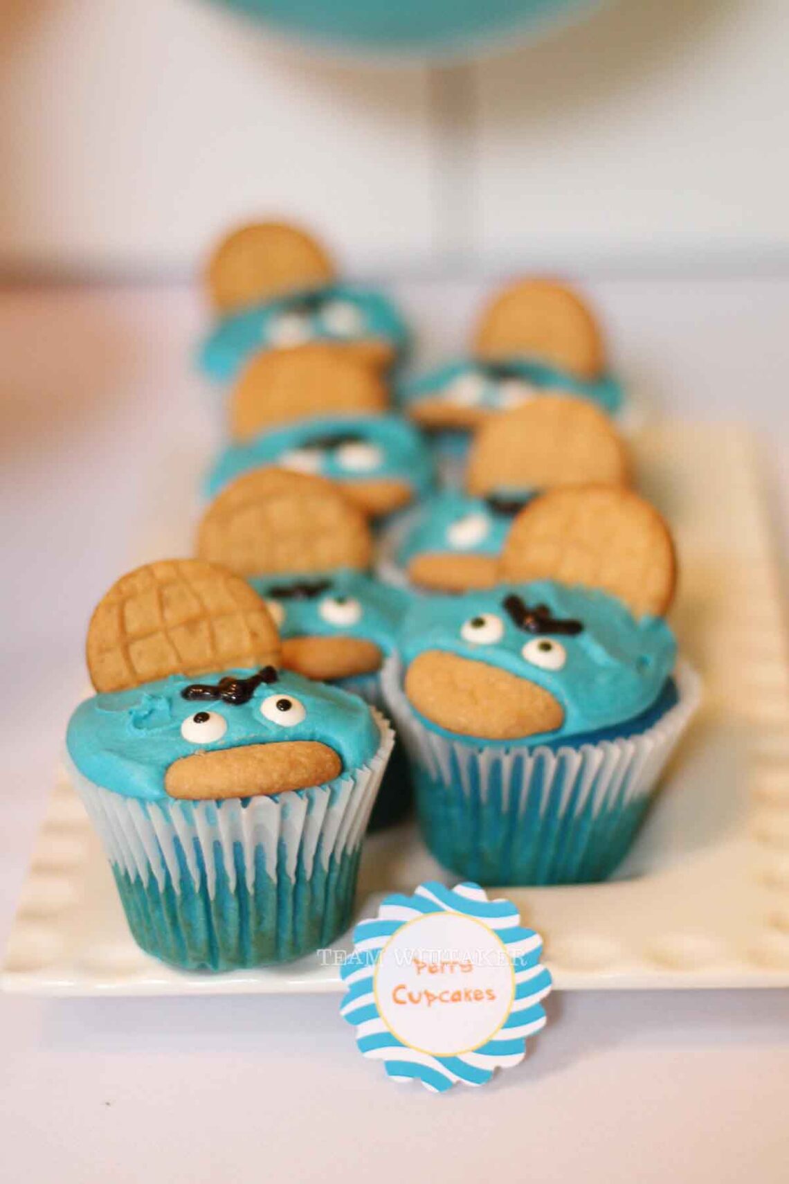 Phineas and Ferb Cupcakes (Credit: kathrynwhitaker)