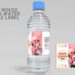( Free ) Minnie Mouse Canva Birthday Water Bottles Labels Six