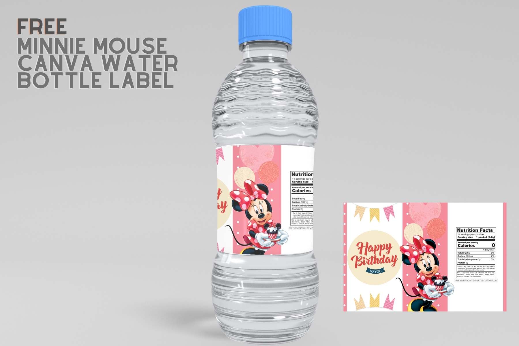 ( Free ) Minnie Mouse Canva Birthday Water Bottles Labels Six