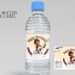 (Free) Coco Canva Birthday Water Bottle Labels