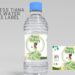 (Free) Princess Tiana Canva Birthday Water Bottle Labels