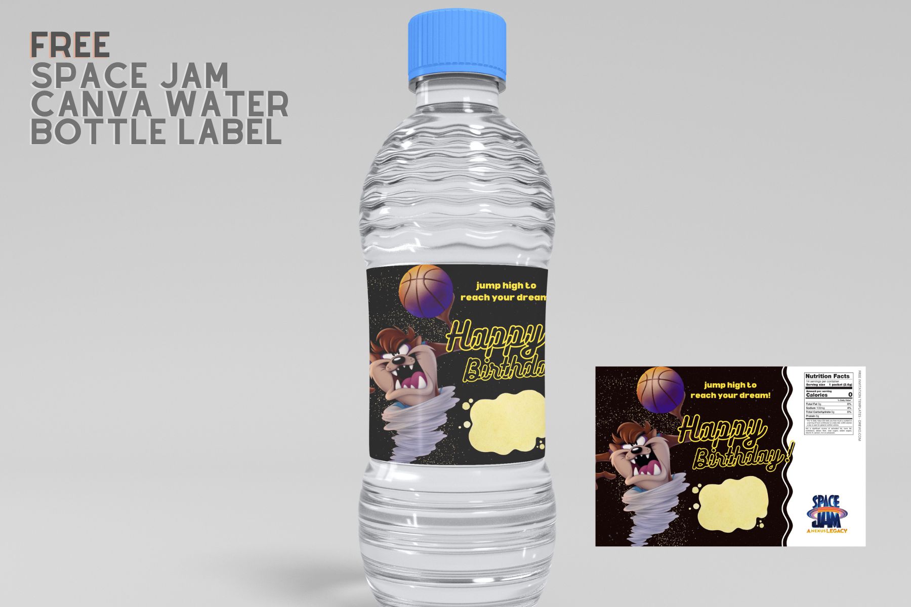 (Free) Space Jam Canva Birthday Water Bottle Labels