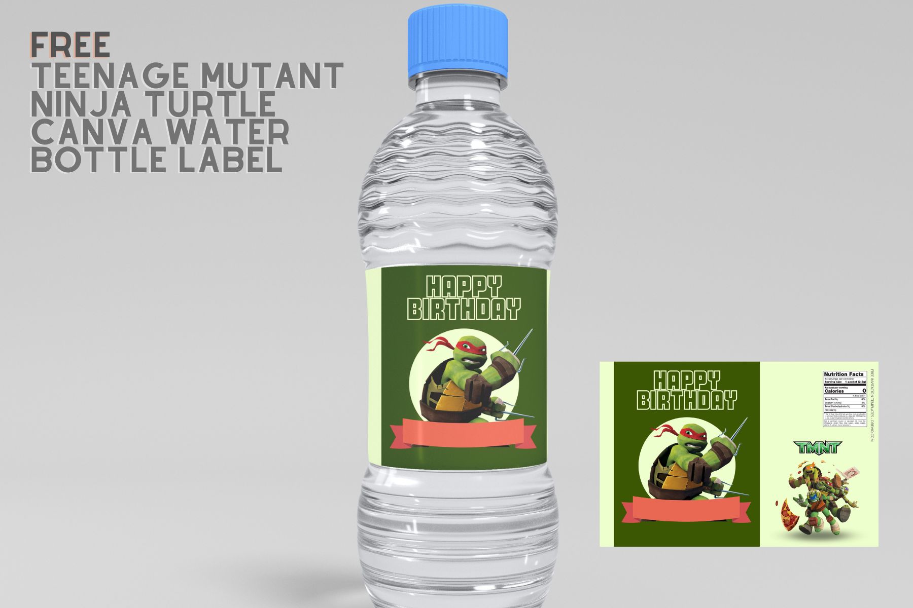 (Free) Teenage Mutant Ninja Turtle Canva Birthday Water Bottle Labels