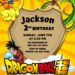 8+ Epic Dragonball Z Canva Birthday Invitation Templates with Shenron the Divine Dragon
