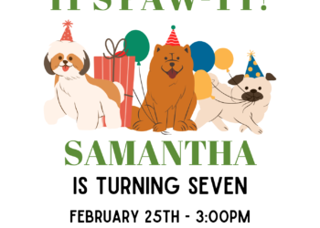 11+ Fun And Sweet Puppy PAW-TY Canva Birthday Invitation Templates