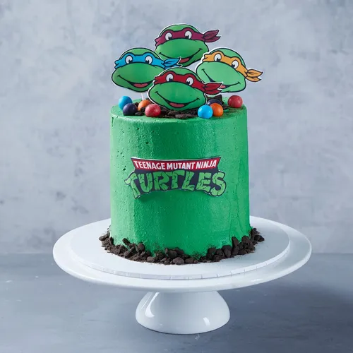 Teenage Mutant Ninja Turtle Birthday Cake  Tina Turner Cakes