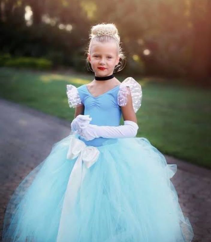 Cinderella Costumes