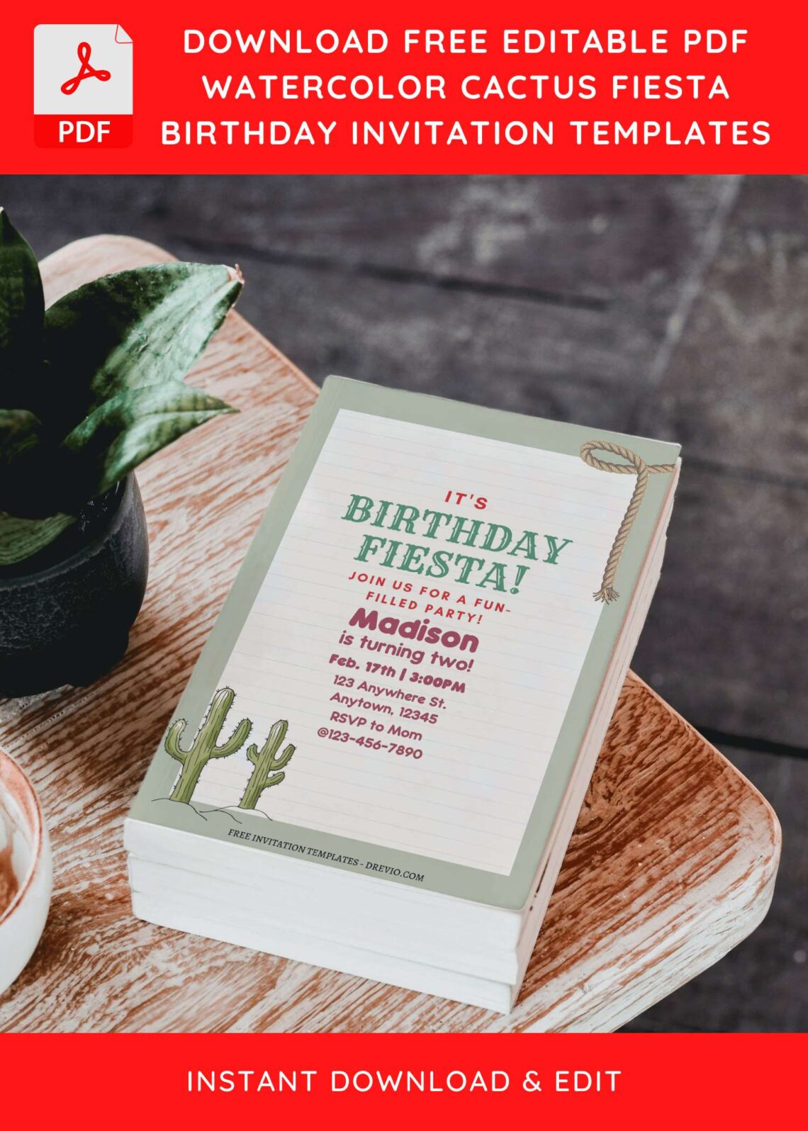 (Free Editable PDF) Vintage Cactus Fiesta Birthday Invitation Templates D