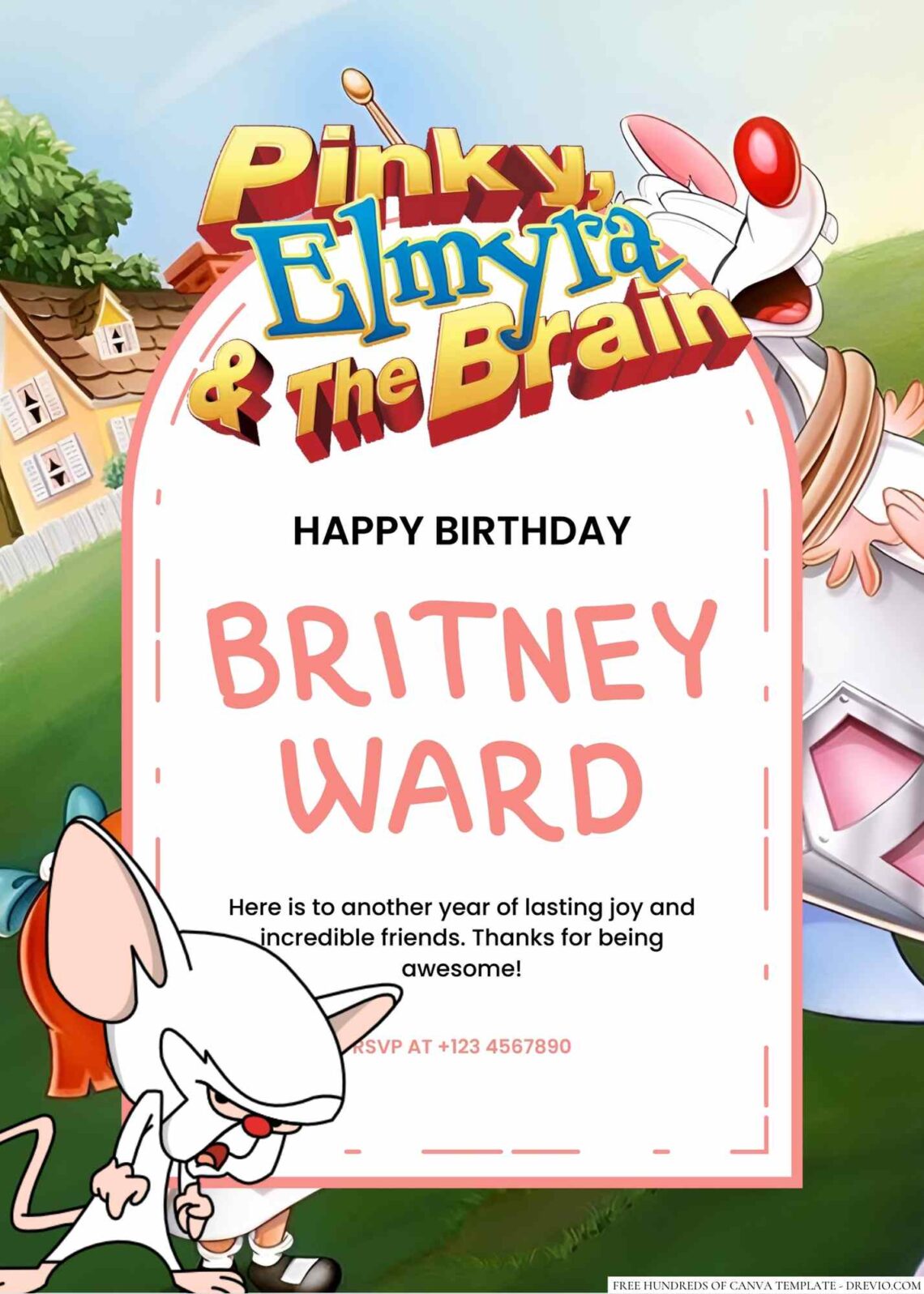 Free Editable Pinky & the Brain (Animaniacs) Birthday Invitation