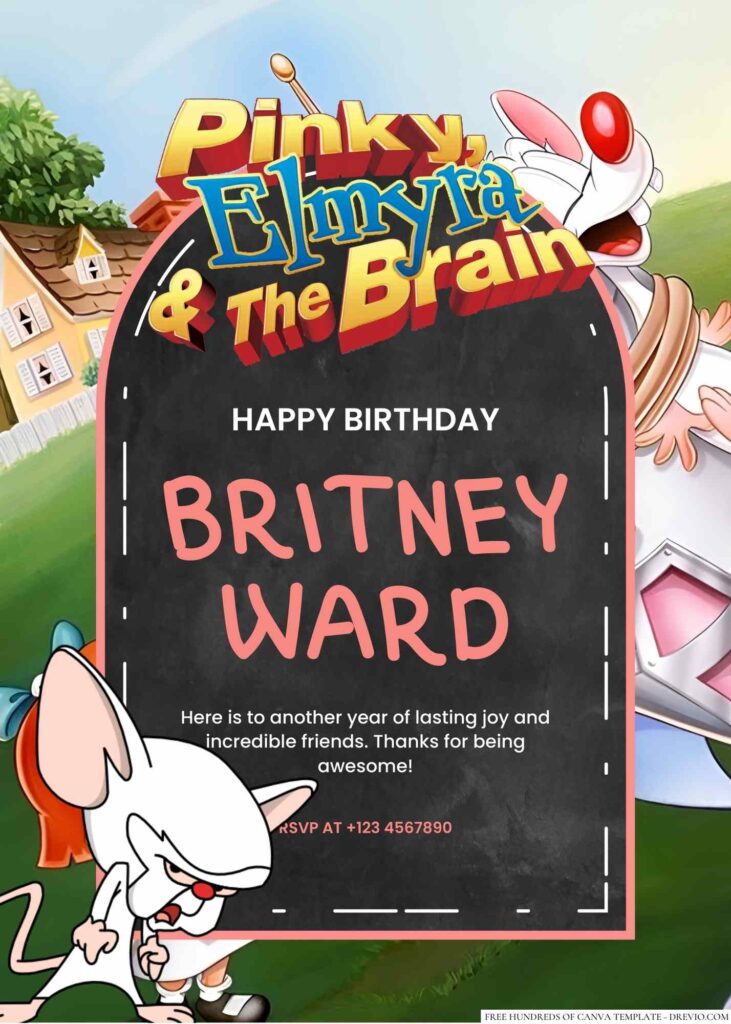 Free Editable Pinky & the Brain (Animaniacs) Birthday Invitation