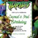 Teenage Mutant Ninja Turtles Birthday Invitation