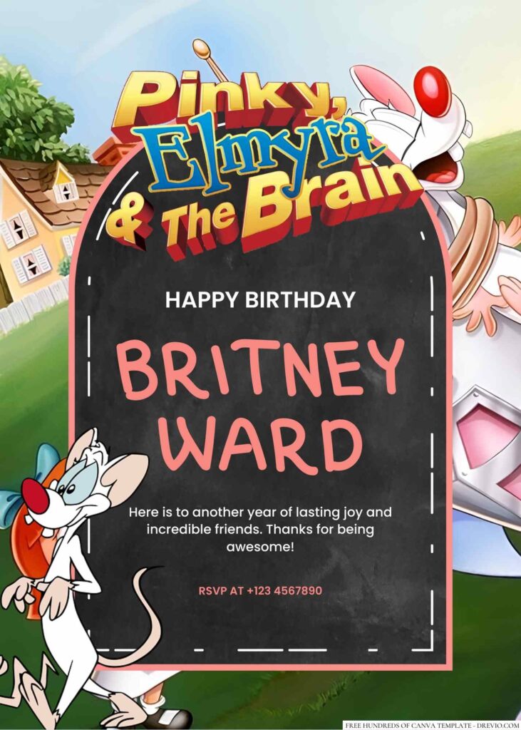 Free Editable Pinky & the Brain (Animaniacs) Birthday Invitation