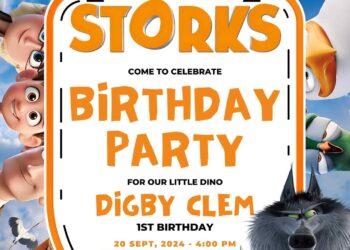 Storks Birthday Invitation
