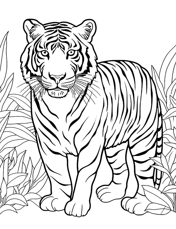 Animal Coloring Page