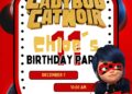 Miraculous Ladybug & Cat Noir Birthday Invitation