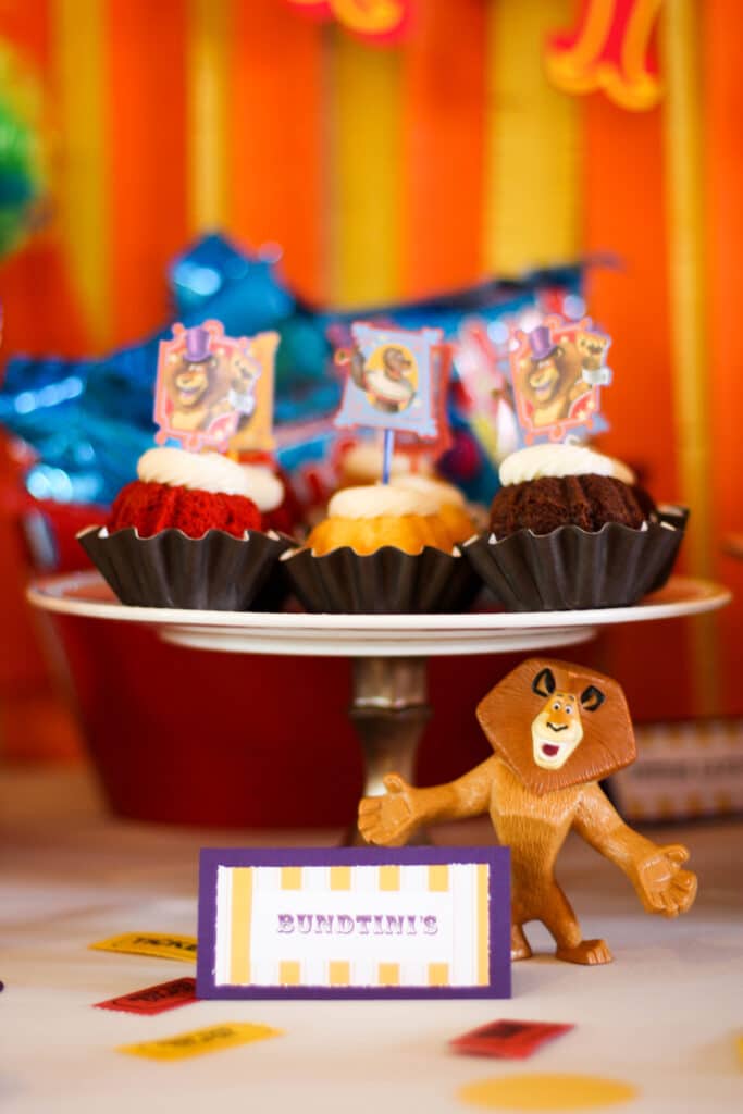 Madagascar Birthday Cupcakes