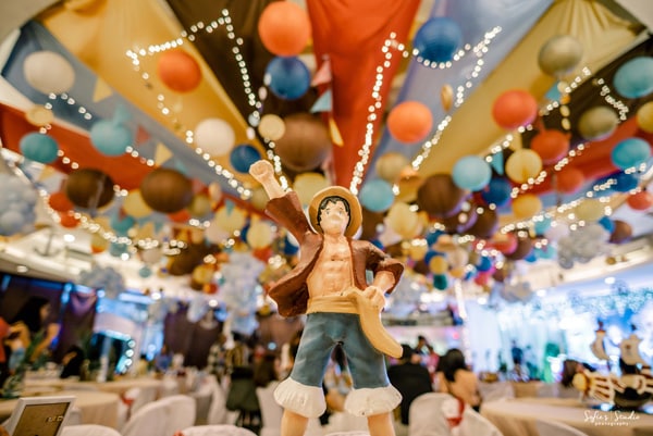 One Piece Birthday Party