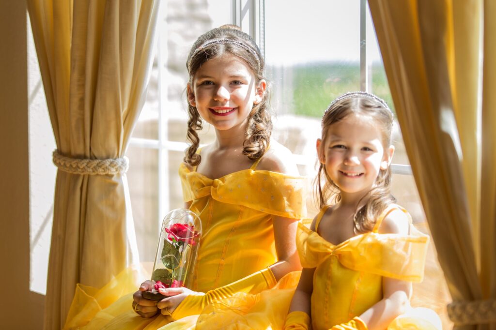 Princess Belle Birthday Party