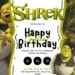 FREE Shrek Birthday Invitations