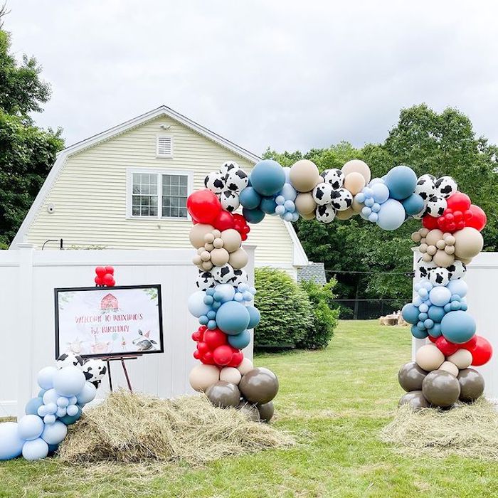 Farm Birthday Decor