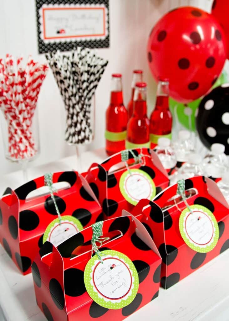 Miraculous Ladybug Birthday Favors