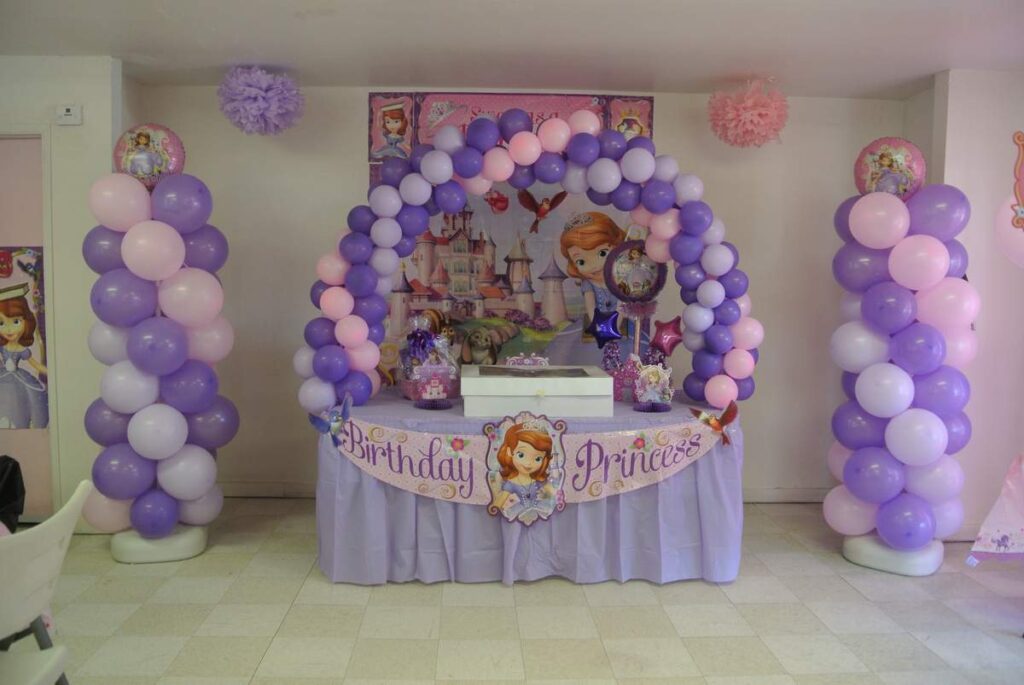 Sofia the First Party